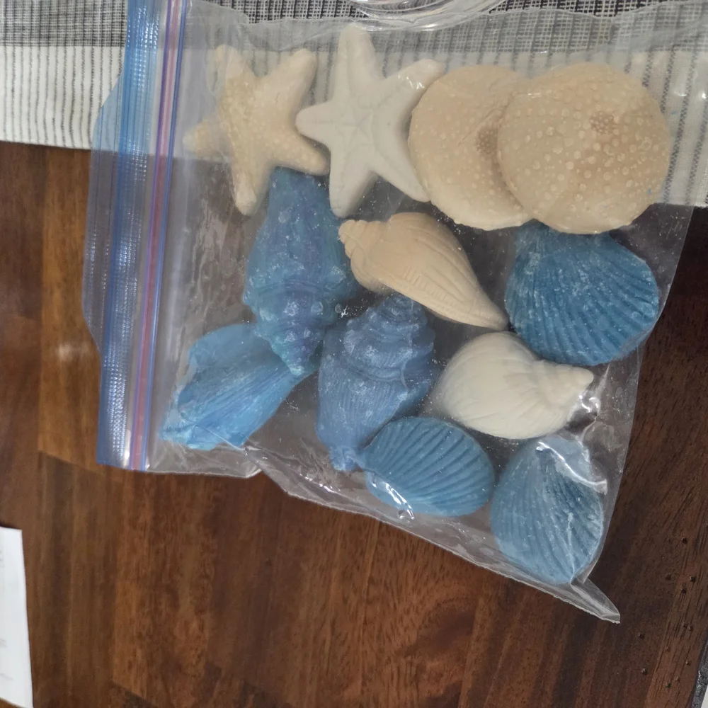 Glass Cloche with Decorative Seashells